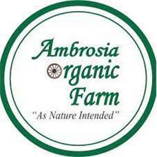 Ambrosia Organic